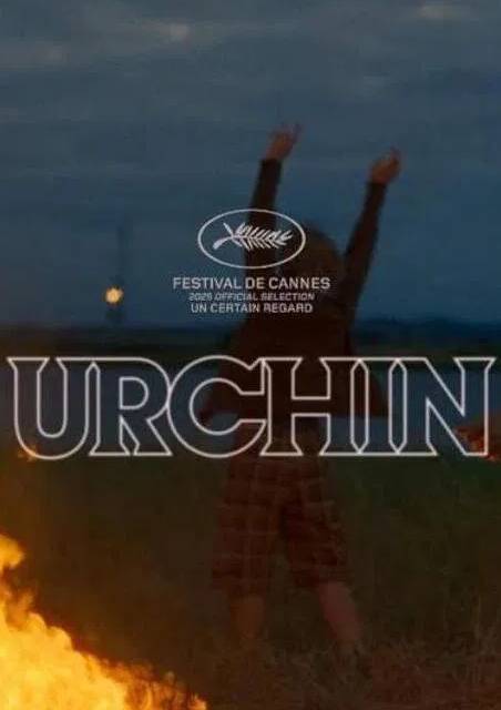 Urchin