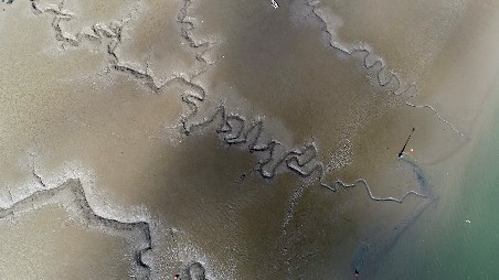 London�s Last Wilderness + Q&A