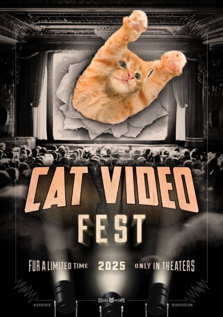 Cat Video Fest 2026